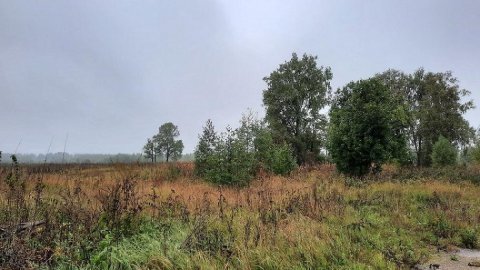 Земельный участок - 156 886 кв. м, местоположение установлено относительно ориентира, расположенного в границах участка, почтовый адрес ориентира: Тверская обл., Зубцовский р-н, с/пос. Зубцовское, вблизи дер. Гармоново