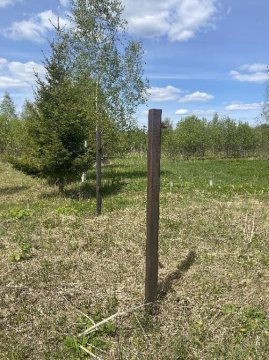Земельные участки (16 поз.) - 52 310 +/- 162 кв. м, адрес: Ярославская область, р-н, Переславский, с/о Глебовский, вблизи дер. Большое Пальцино, ДНП «Союз дачников»