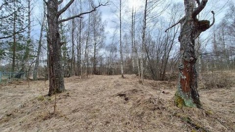 Земельный участок - 154 951 +/- 3 444 кв. м, адрес: местоположение установлено относительно ориентира, расположенного в границах участка, почтовый адрес ориентира: Тверская обл., Зубцовский р-н, с/пос. Зубцовское, вблизи дер. Давыдково, земельный участок - 16 007 кв. м, адрес: местоположение установлено относительно ориентира, расположенного в границах участка, почтовый адрес ориентира: Тверская обл., Зубцовский р-н, с/пос. Зубцовское, вблизи дер. Гармоново — фото 1