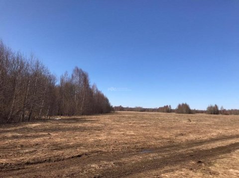Земельный участок - 24 139 +/- 109 кв. м, местоположение: Псковская область, Пыталовский р-н, СП "Утроинская волость", дер. Заводино