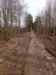 Право заключения договора аренды земельного участка, государственная собственность на который не разграничена, площадью 30664 кв.м., кадастровый номер 47:07:1703021:492, расположенного по адресу: Ленинградская область, Всеволожский муниципальный район, Морозовское городское поселение, ул. Мира