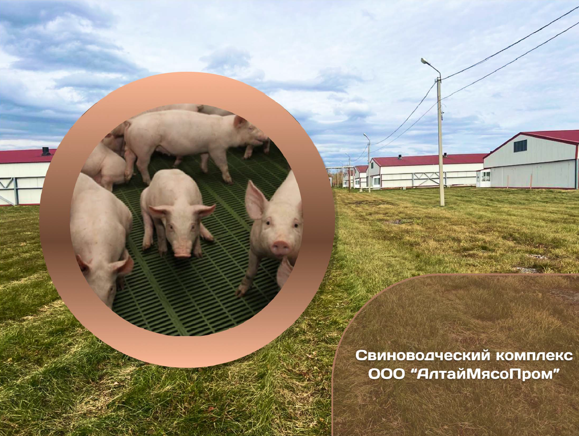Бизнес под ключ в Алтайском крае ждёт своего арендатора!